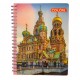 Cuaderno profesional Colon doble espiral 100 hojas cuadro grande