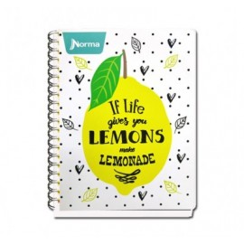 Cuaderno profesional Norma basic doble espiral cuadro chico 100 hojas
