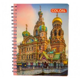 Cuaderno profesional Colon doble espiral 100 hojas cuadro grande