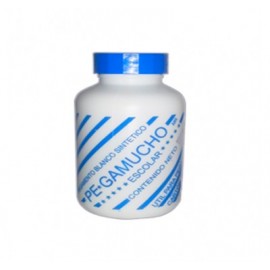 Pegamento 250 gramos Pegamucho